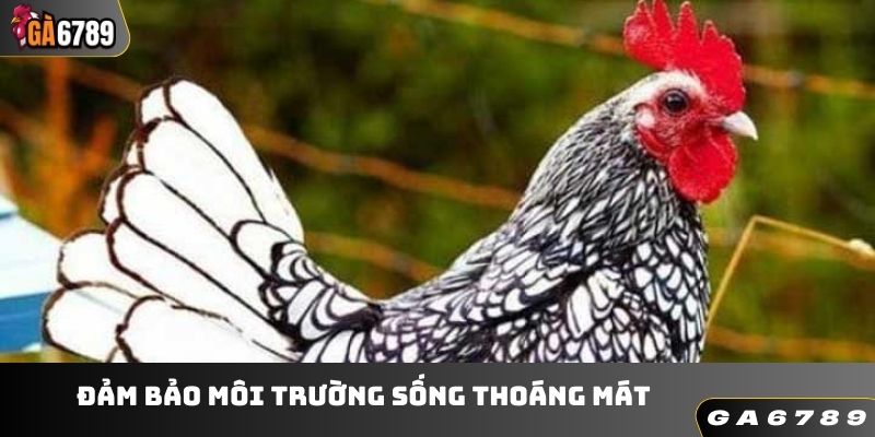 Đảm bảo môi trường sống thoáng mát