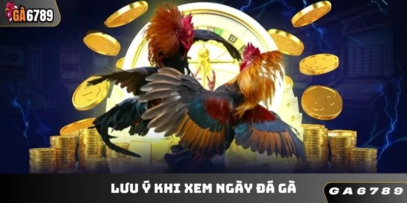 Lưu ý khi xem ngày đá gà