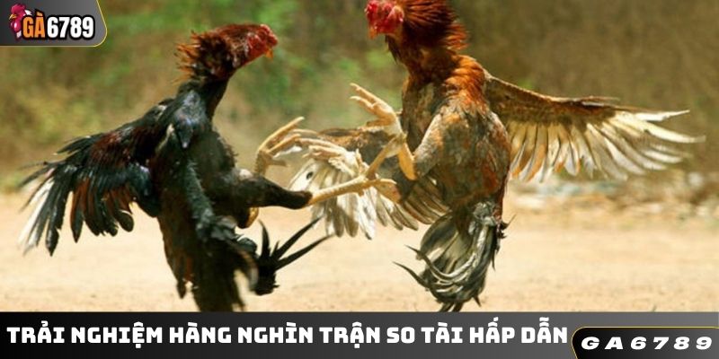 Trải nghiệm hàng nghìn trận so tài hấp dẫn